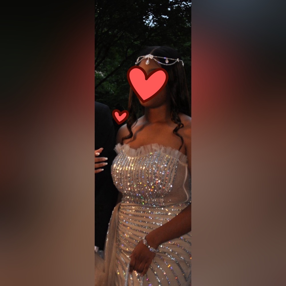 Cinderella Divine. Nude Gown. No alterations. - Picture 2 of 4